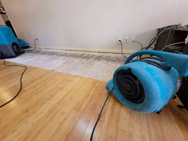 Professional Burst Pipe Water Damage technician working in Chatfield, OH